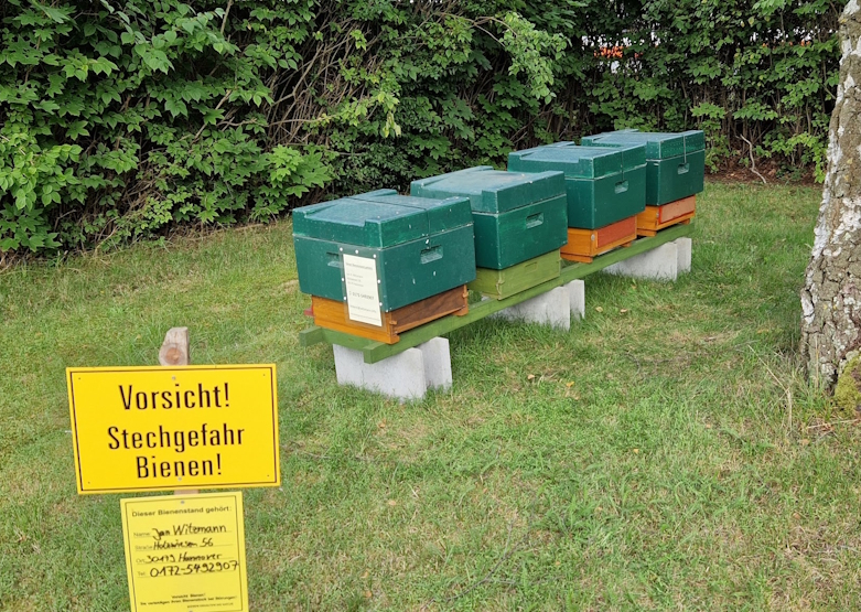 Bienenstand in der Natur