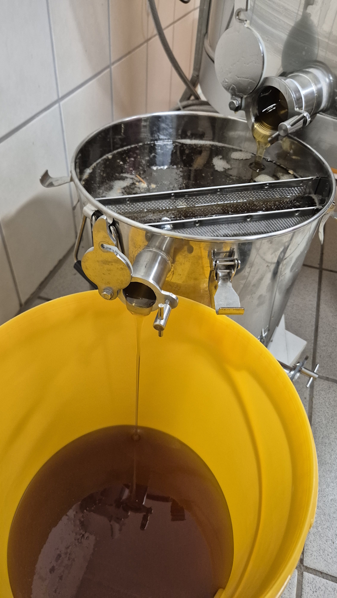 Frischer Honig fließt aus der Schleuder